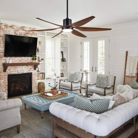 Ceiling Fan with Light